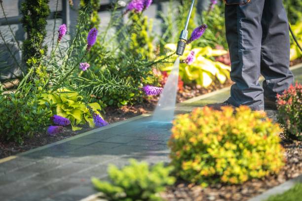 Best Restaurant Pressure Washing  in Barnum Island, NY